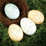 0414-eggs-speckled