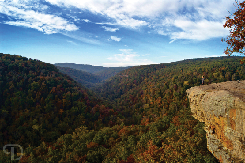4-Fall-Colors-on-Hawksbill-Crag-_-Whittaker-Point---Boxley,-AR